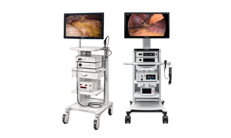 Endoscopic systems